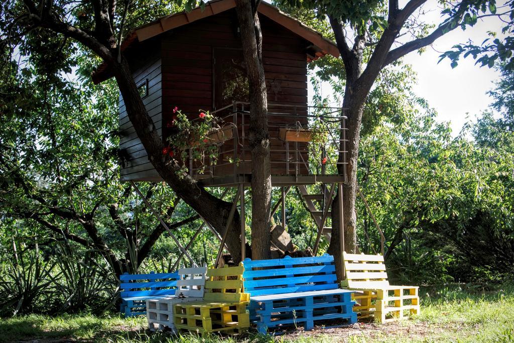 Quinta Do Pinheiral Villa Favoes Exterior photo